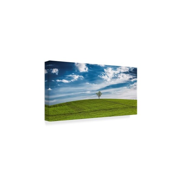 Giuseppe Torre 'The One Green Hill' Canvas Art,12x24